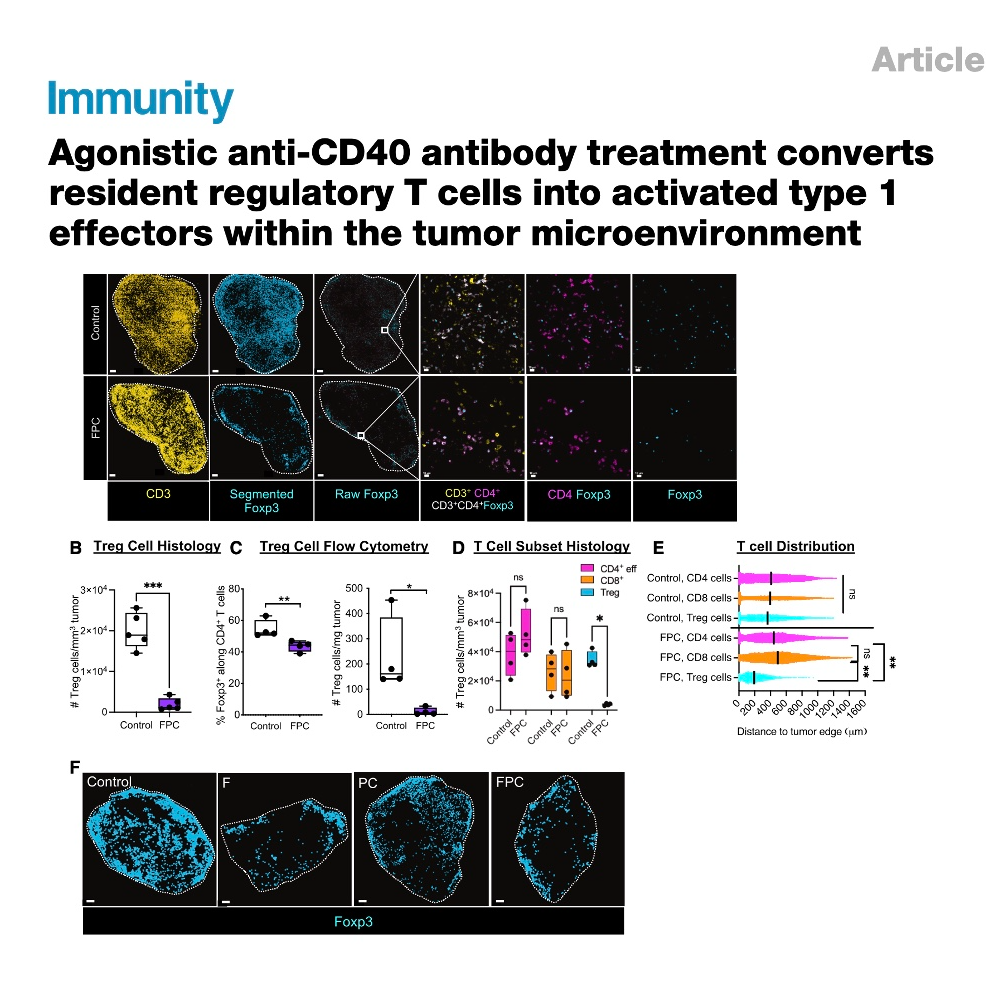 806-Converting Tregs into Type 1 Tumor Effectors episode artwork