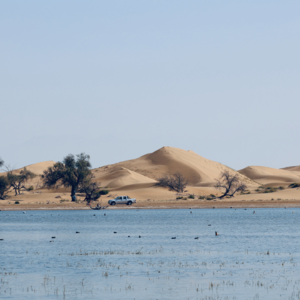 20251018_银川周末两日游：沙漠穿越五湖+西夏王陵+影视城+岩画