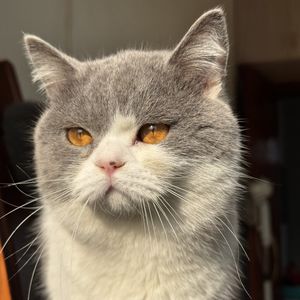 podcaster-avatar