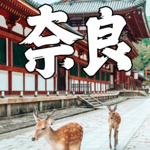【奈良的一天】小鹿乱撞与禅径夕照_日本旅行回忆day2