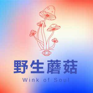 WinkofSoul正念冥想06|与过往和解,中元节的能量整合与释放