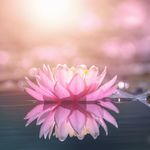 Juju & Amber: Healing Strength 2