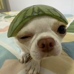 冰唐葡萄