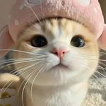 o鸣人