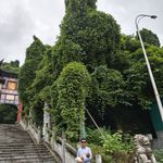 雨后彩虹88