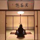 放放-放放