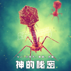 19.神的秘密｜探秘神之领域最终章