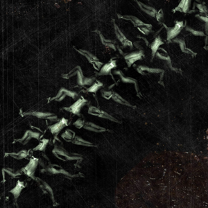 Vol.05丨带孩子去看异形的家长们，也会带孩子去看《人体蜈蚣》吗？丨《人体蜈蚣2》过审记