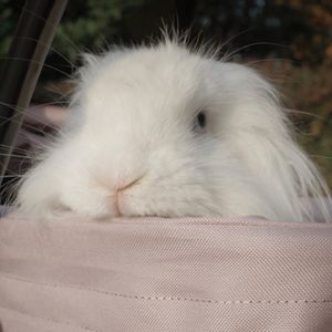 EP01|阅读|玛吉·尼尔森的《蓝》