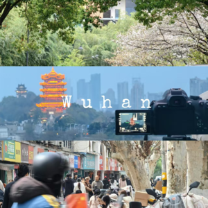 见山海04|屋里衣香不如花