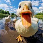 我就是你说的那个她呀