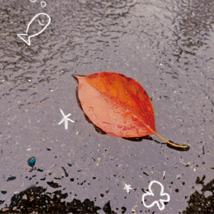 今年夏天会有好事发生吗