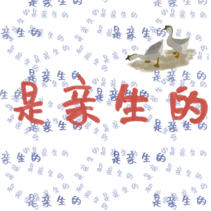 【是亲生的】01 两姐妹吐槽旅行中那些骂骂咧咧的瞬间
