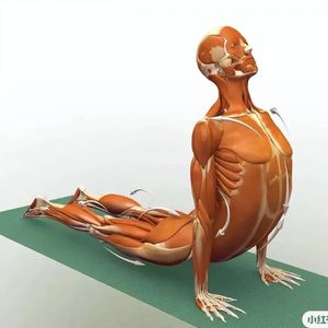 为什么很多人敬而远之艾扬格瑜伽练习风格