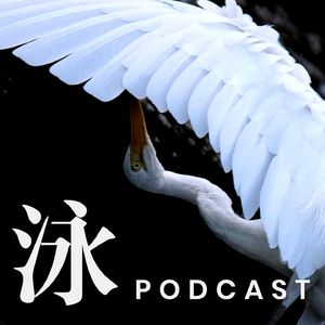 自由泳