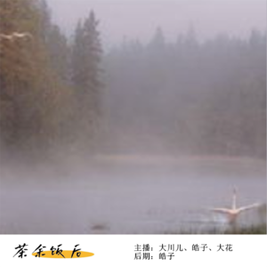056. 案件特辑|像救赎的光又像坠落的灰-重庆浮尸案