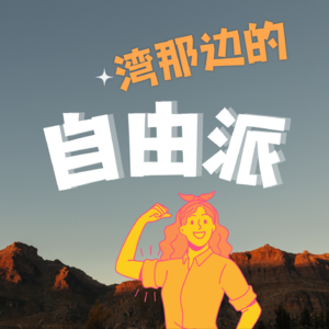 湾那边的自由派