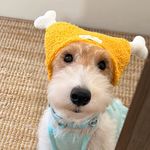 宥鸣妈妈
