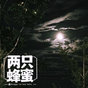 Vol.29 八月十五月儿明,一顿能吃仨月饼