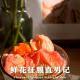 四维杂谈：鲜花征服直男记（别想歪）