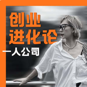 一人公司创业进化论