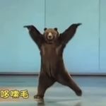 狗熊哆嗦毛