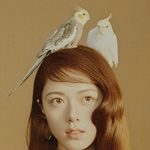 星期八宜飞行