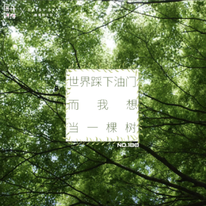 100.心声特辑：只要你学得足够慢，你就可以不用学