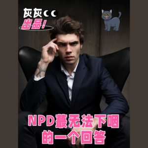 NPD蕞无法下咽的一个回答