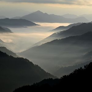 EP259 预测力没有国界：迁移学习的力量