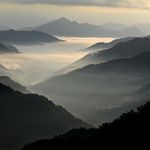 EP259 预测力没有国界：迁移学习的力量