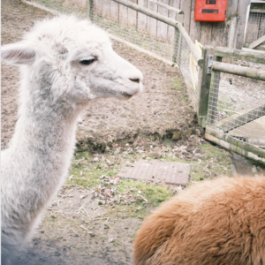 【018】每周闲聊｜分享也是爱意表达