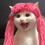 茄子今天发财了吗