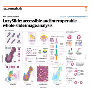 795-LazySlide: for Whole-Slide Image Analysis
