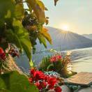 suyan_LYHb