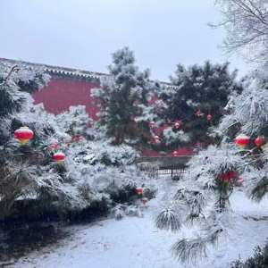 Vol.4《爱欲之死》不是不想爱 而是不会爱 | 打工人变形记EP04