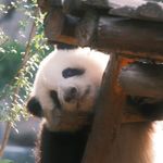 @qq.com