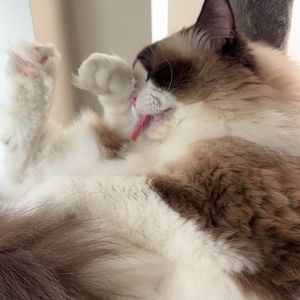 周周_Jiujiu