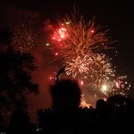 Aria_229