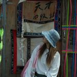 温迪是只大脸猫