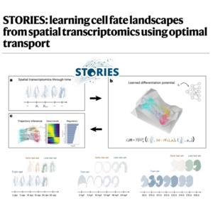 259-STORIES: Spatial Trajectory Inference