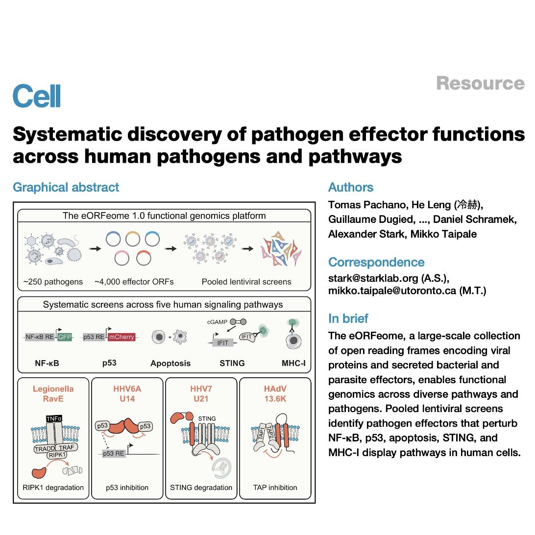 1364-Systematic Discovery of Pathogen Effector Functions episode artwork