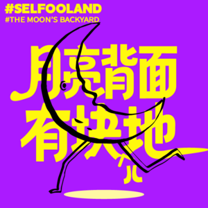 月亮背面有块地