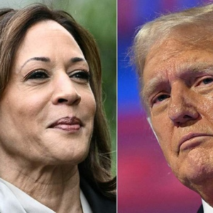 首次演讲猛攻特朗普，哈里斯基本锁定党内提名