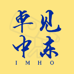 卓见中东