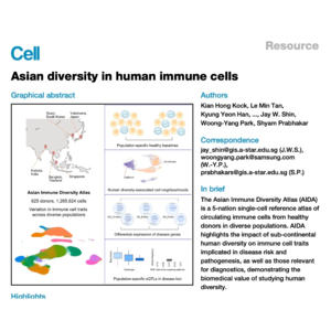 088-Asian diversity in human immune cells