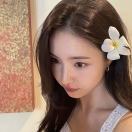 不吃鱼的喵呜