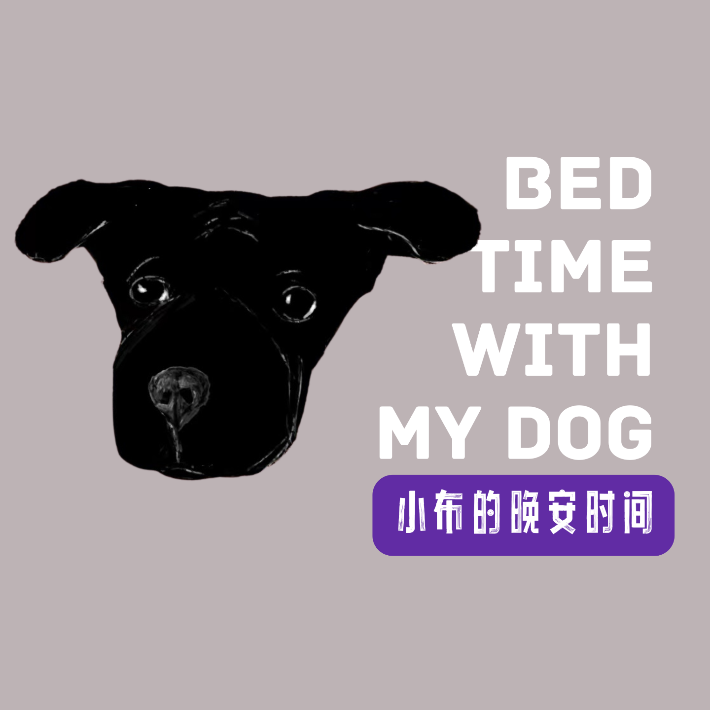 小布的晚安时间