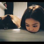 走一步也能达到顶峰