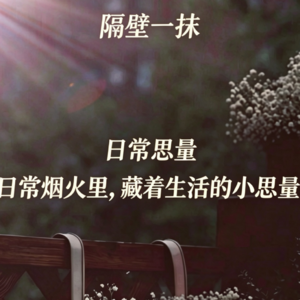 31.掌声与嘘声皆是噪音